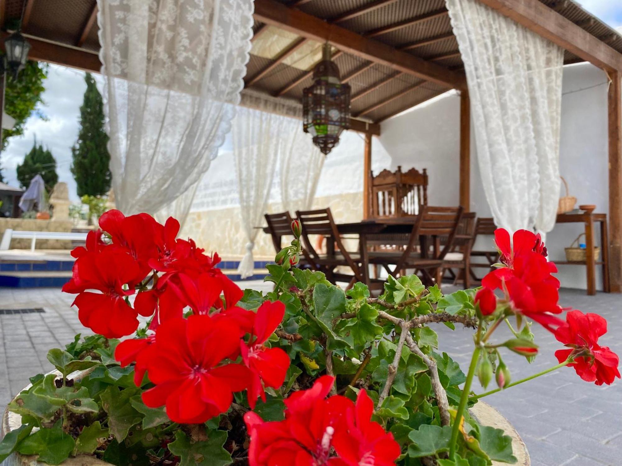 Authentic Canary Style Villa With Private Pool And Garden- Casa Juan Vera Granadilla De Abona Luaran gambar