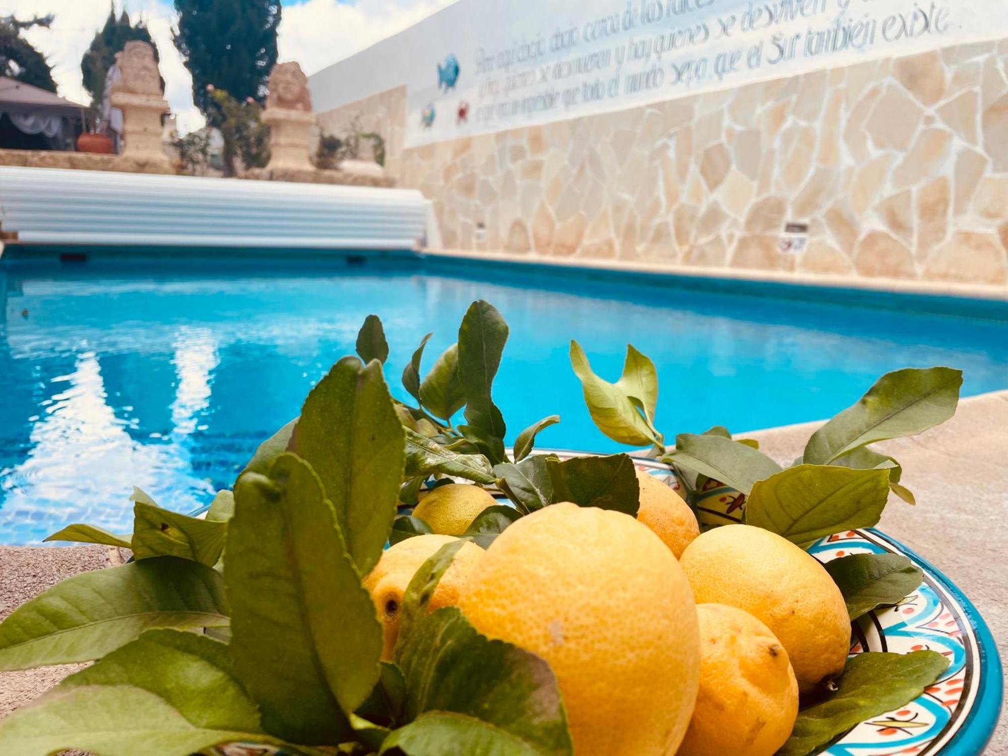 Authentic Canary Style Villa With Private Pool And Garden- Casa Juan Vera Granadilla De Abona Luaran gambar